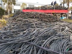 大型電纜回收現(xiàn)場案例